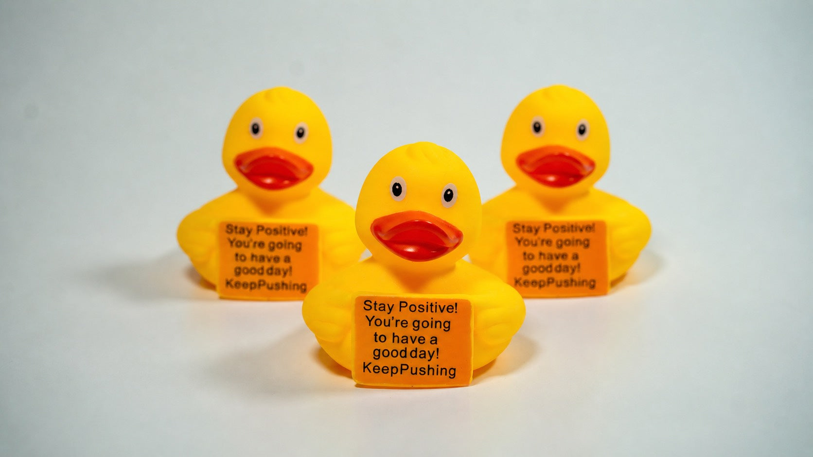 Delulu The Ducky 3 Pack
