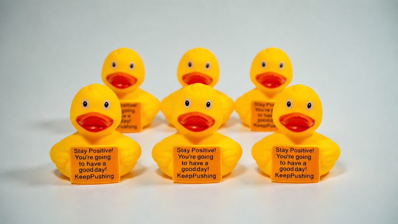 Delulu The Ducky 6 Pack