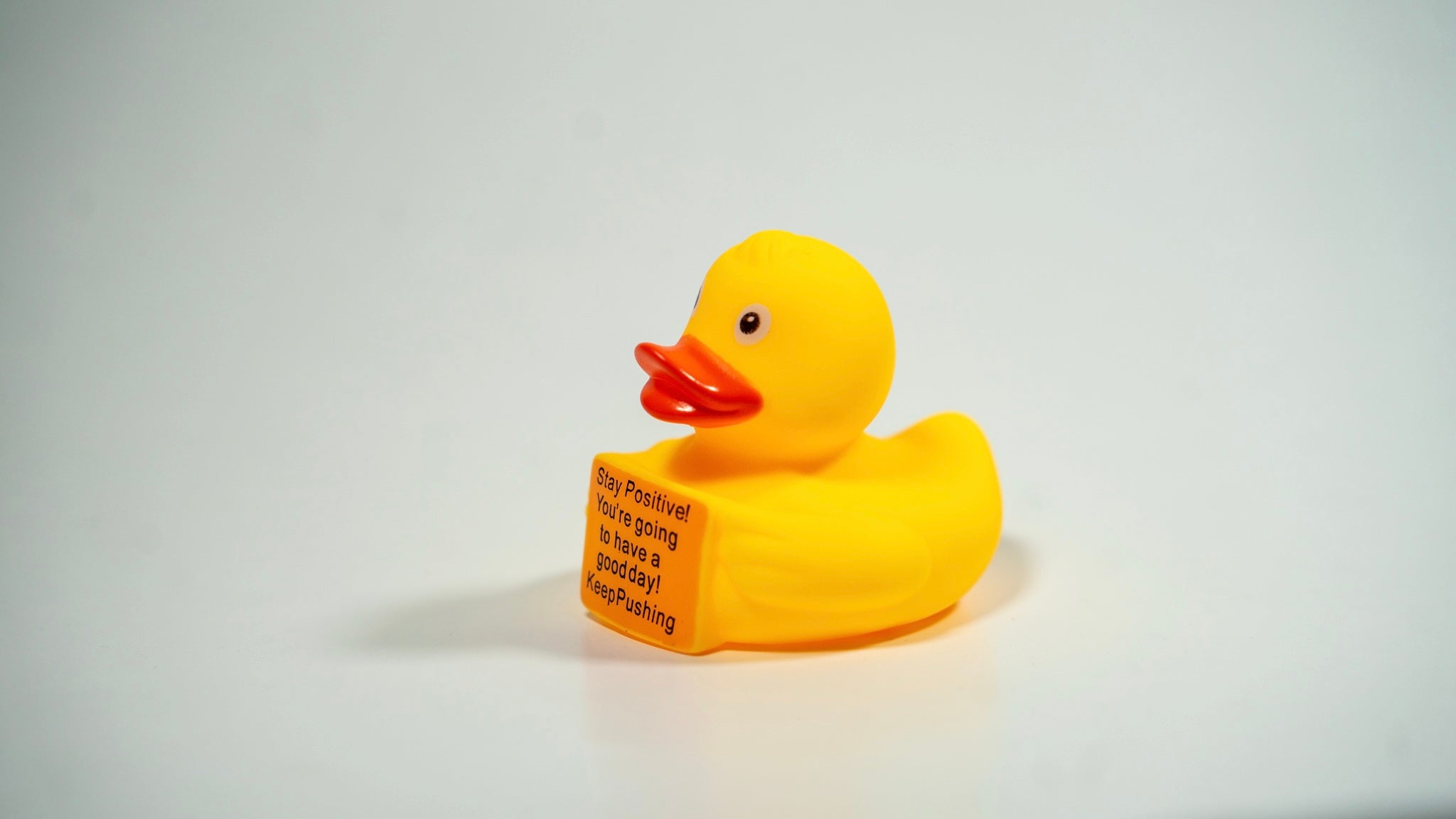 Delulu The Ducky 3 Pack