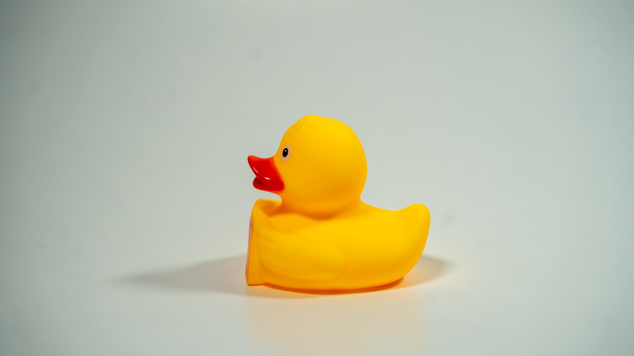 Delulu The Ducky 3 Pack