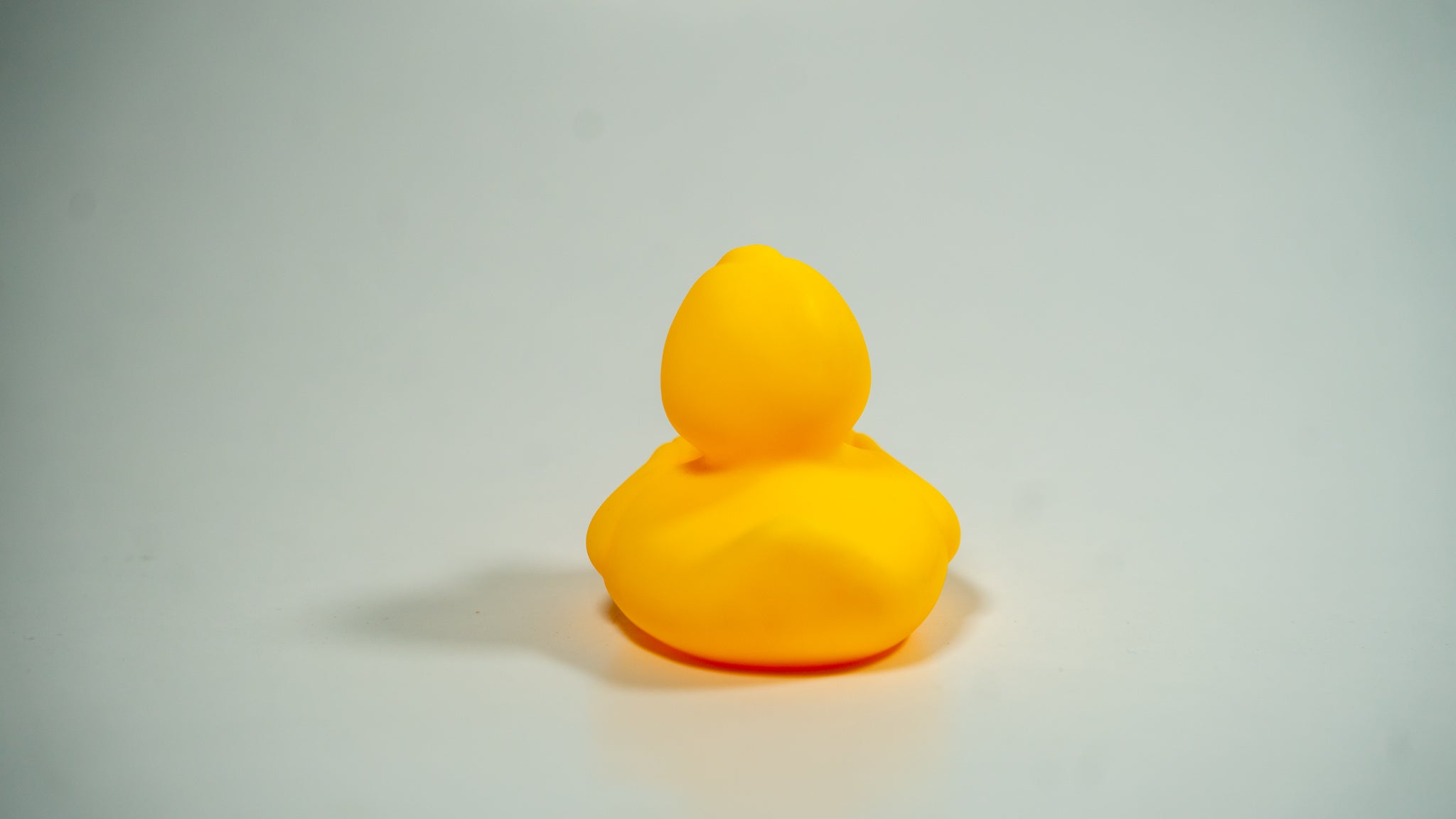 Delulu The Ducky 3 Pack